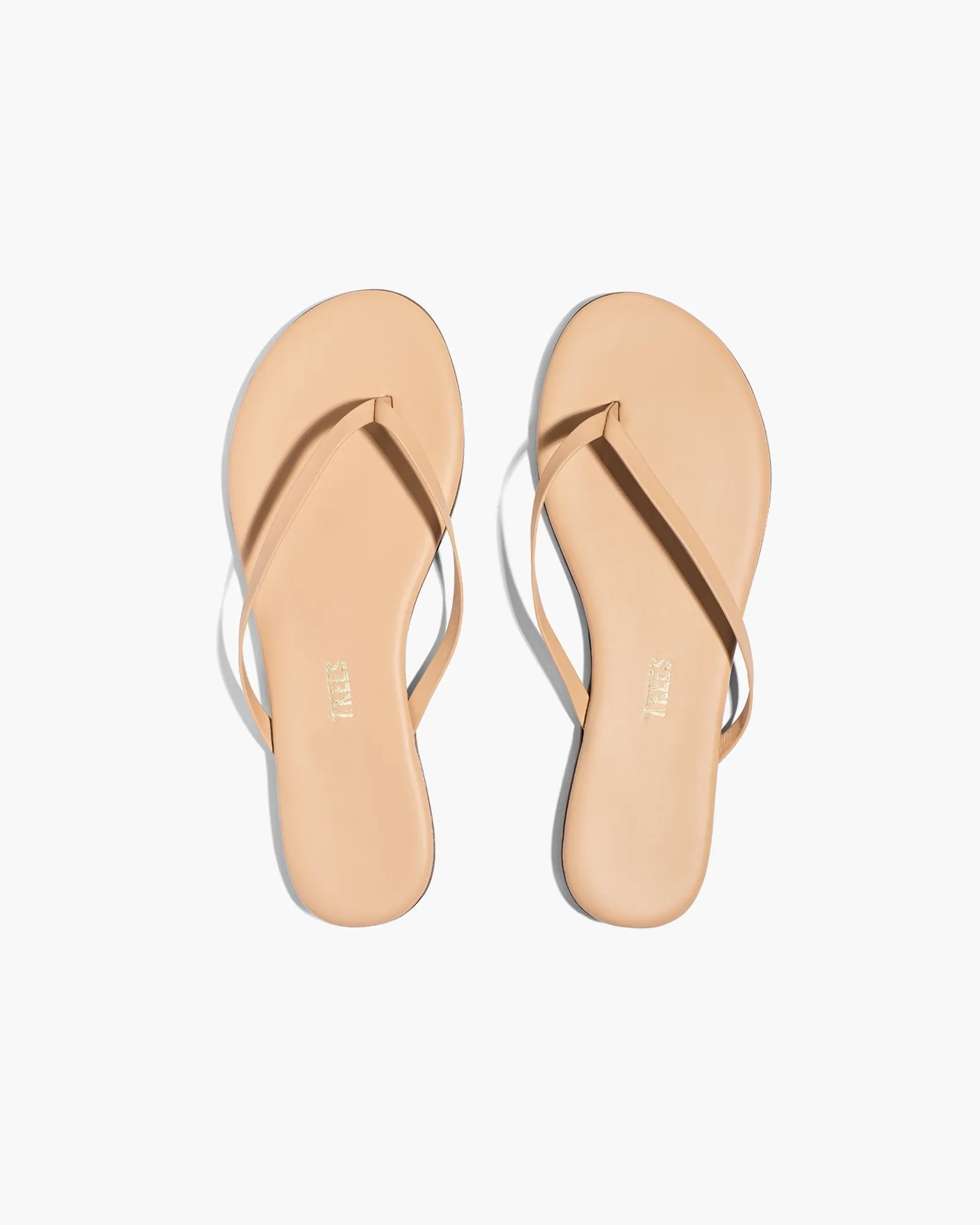 Tkees Lily